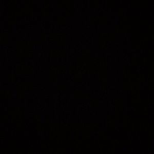 Meet your Posher, Bertha